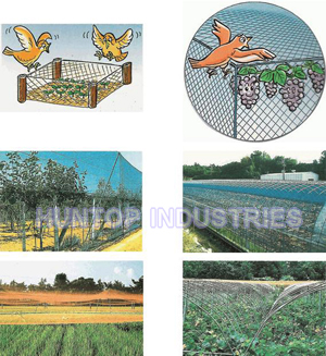 Anti Bird Netting Green Mesh